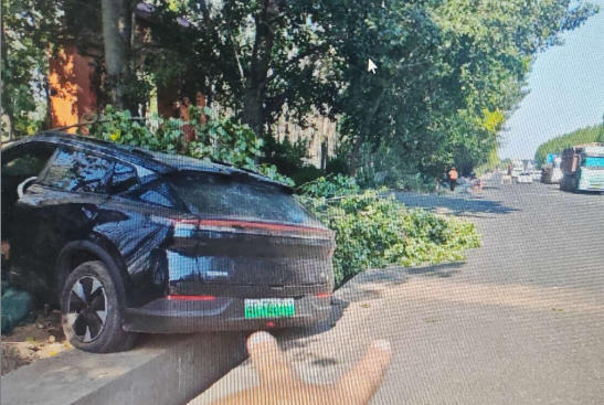 冀D东风乘用车