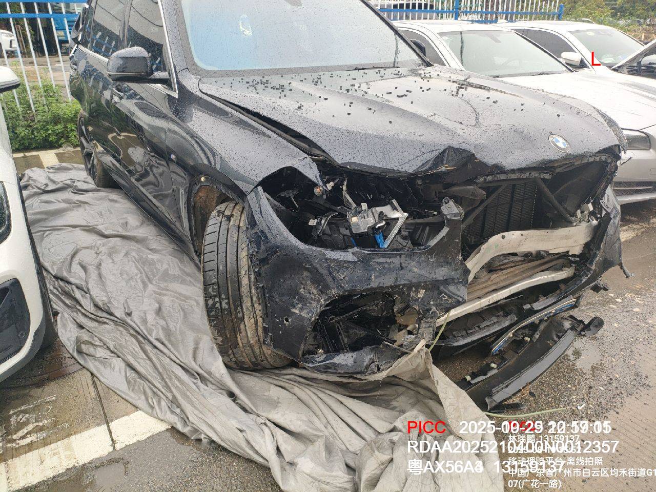 粤A X5