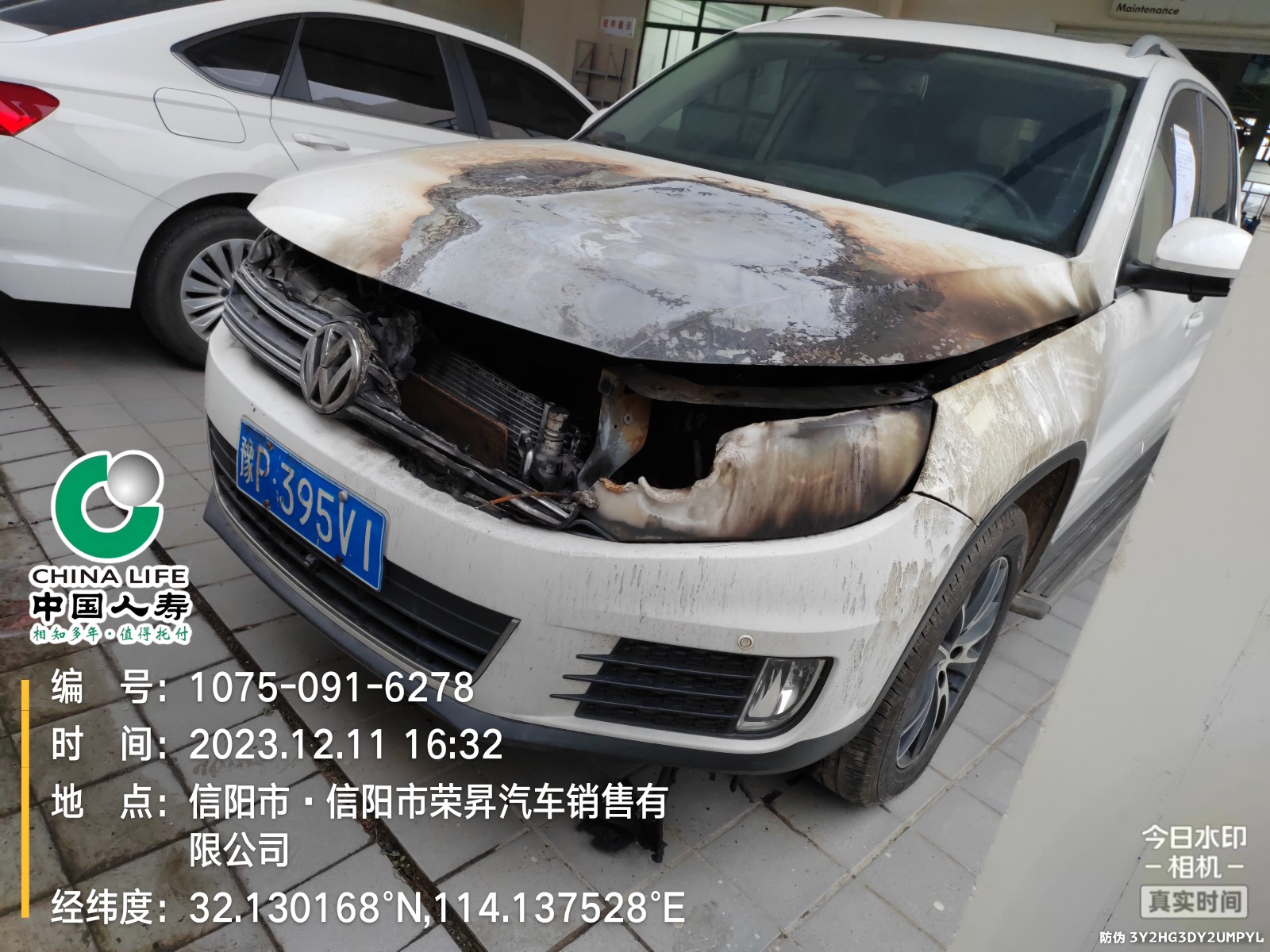 豫P395V1大众