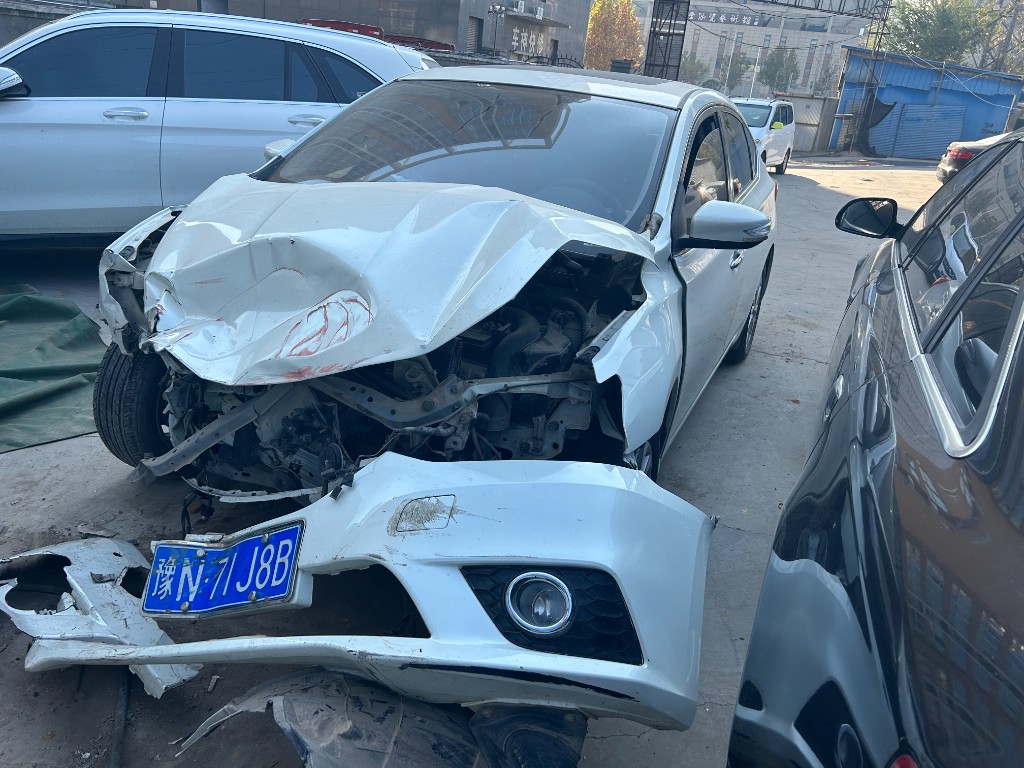 豫N71J8B轩逸